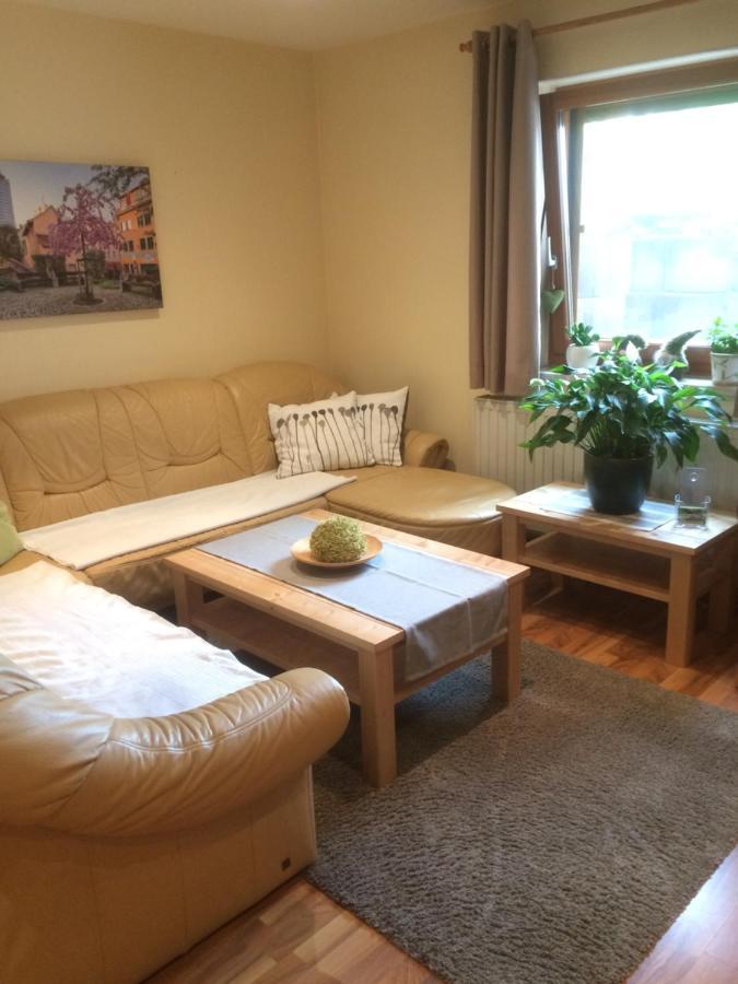 Ferienwohnung Saaletalblick Γιένα Εξωτερικό φωτογραφία